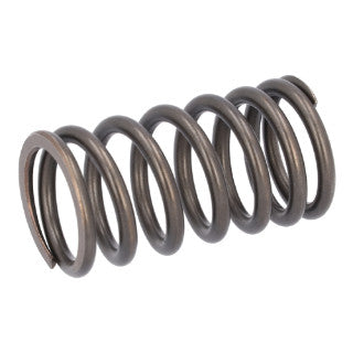 Valve Spring-15