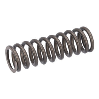 Valve Spring-17