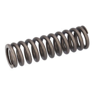 Valve Spring-18