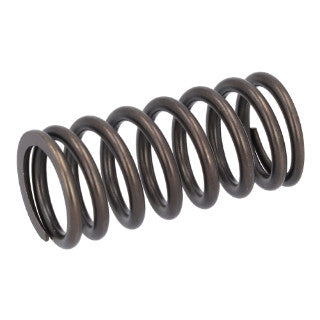 Valve Spring-19