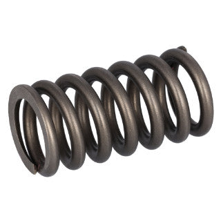 Valve Spring-20