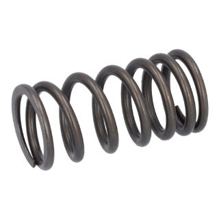 Valve Spring-21