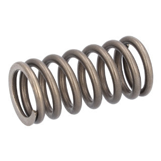 Valve Spring-22