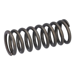 Valve Spring-23