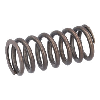 Valve Spring-24