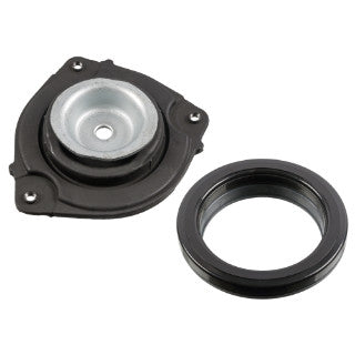 Strut Mounting Kit-250