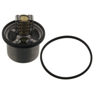 Thermostat-80