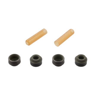 Valve Stem Seal Kit-4