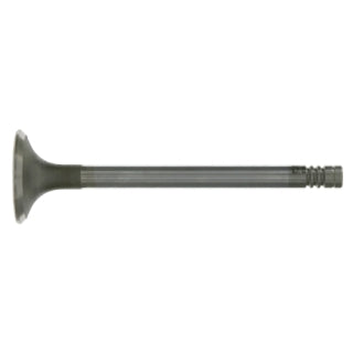 Exhaust Valve-16