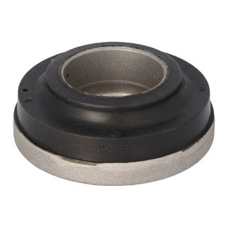 Strut Mounting-296