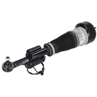 Air Spring Strut-2