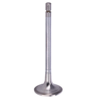 Inlet Valve-13