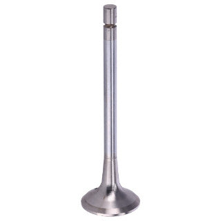 Exhaust Valve-17