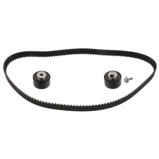 Timing Belt Kit-81