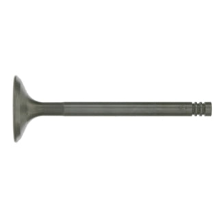Inlet Valve-17
