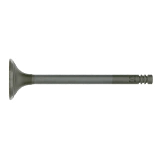 Exhaust Valve-22