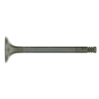 Exhaust Valve-24