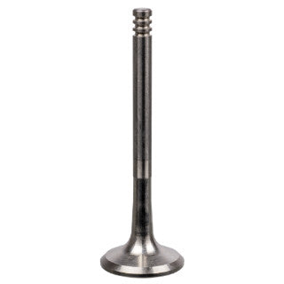 Exhaust Valve-32