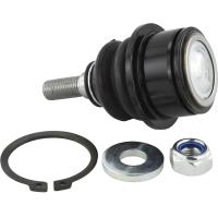 Febest ball joint front steering knuckle - 2020-KL