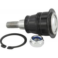 Febest Ball joint rear upper arm - 2120-CRR