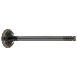 Exhaust Valve-51