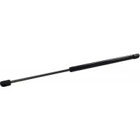 Febest Gas strut - 23117-001
