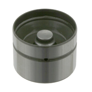 Hydraulic Cam Follower-27