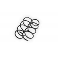 Febest Front coil spring kit-23