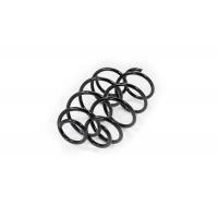Febest Front coil spring kit - Part 2408-007F-KIT