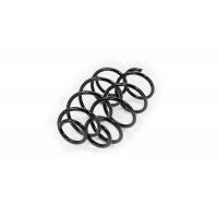 Febest Front coil spring kit-24