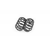 Febest Rear coil spring kit-22