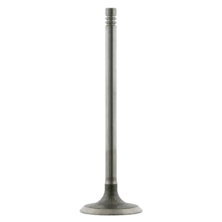 Inlet Valve-48