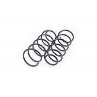 Febest Front coil spring kit - Part 2508-009F-KIT