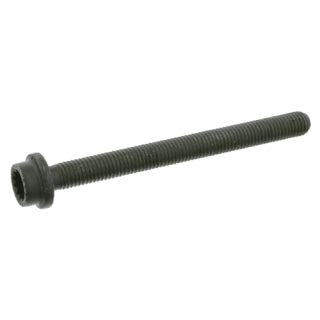Cylinder Head Bolt-55