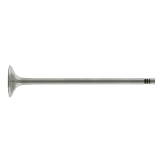 Exhaust Valve-56