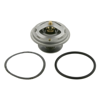 Thermostat-113