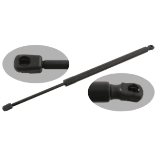 Gas Spring-313