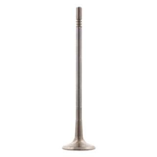 Exhaust Valve-61