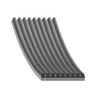 Auxiliary Belt-262