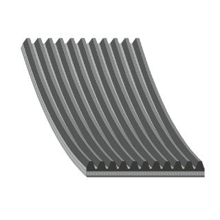 Auxiliary Belt-282