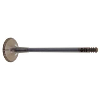Exhaust Valve-62