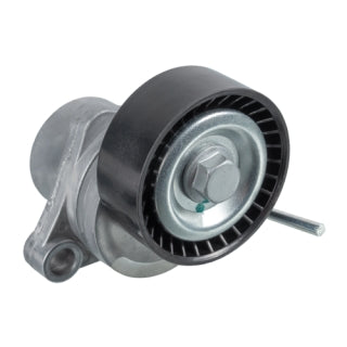 Tensioner Assembly-216