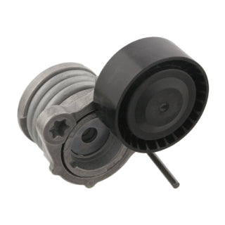 Tensioner Assembly-229