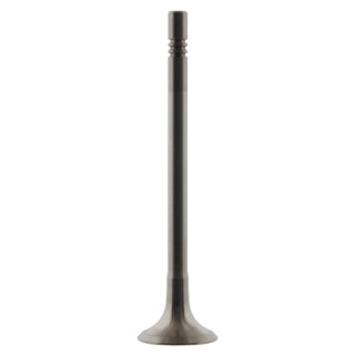 Exhaust Valve-65