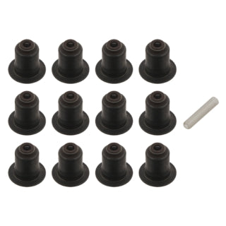 Valve Stem Seal Kit-12