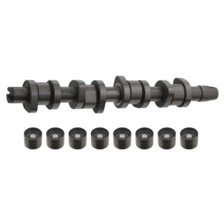 Camshaft Kit-20