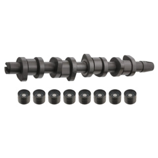 Camshaft Kit-21
