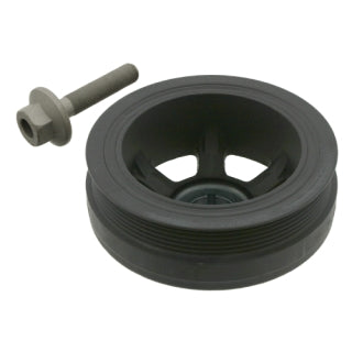 TVD Pulley-100