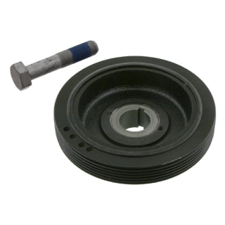 TVD Pulley-113