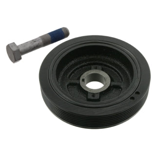 TVD Pulley-117